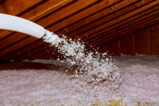 Best Cellulose Insulation  in Manorhaven, NY