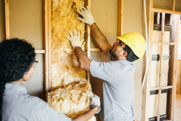 Best Insulation Removal  in Manorhaven, NY